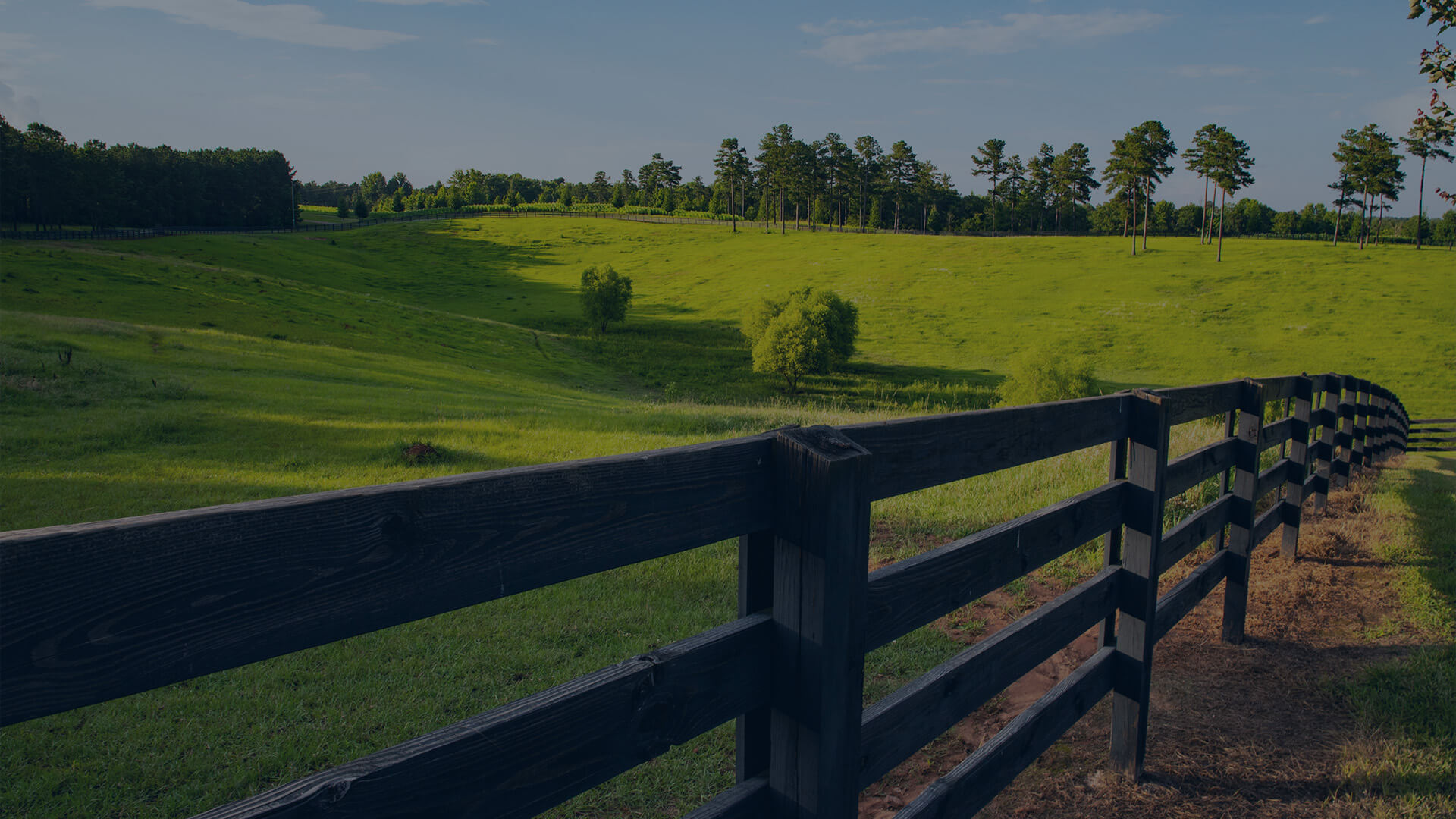 View of rural Georgia taken from a wooden fence